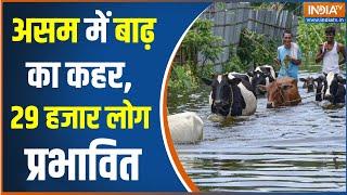 Assam Flood: असम के 7 जिले बाढ़ से प्रभावित | Hindi News | Breaking News | Flood In Assam