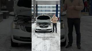 За что любят Skoda Octavia? #мосподбор #автоэксперт #автоподбор