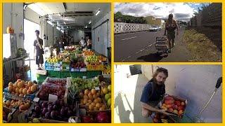 BUYING FRUITS AT THE WHOLESALE MARKET ON LA PALMA