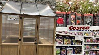 NEW Arrivals at COSTCO for the Garden| Bare Root Roses 2 for $16.99 and GREAT FINDS