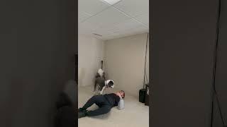 Lower Trunk Rotations #mobility #backpainrelief #powerlifting #exercise
