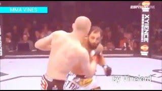 MMA VINES #31  / by Vinelord