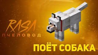 ПЧЕЛОВОД (RASA) ИЗ ЗВУКА СОБАКИ | MINECRAFT МУЗЫКА | РАСА ПАРОДИЯ