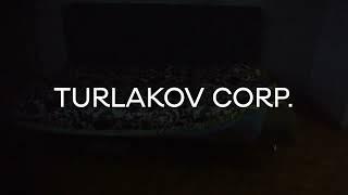 TURLAKOV CORP. Movie Ident #12