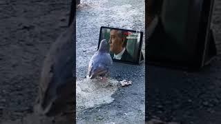 kino vaqti boldi. obuna bolib qoyamiz