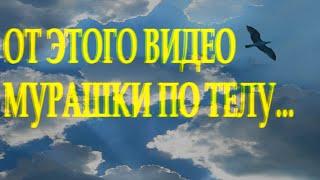 Стих заставляет задуматься "На небесах живут родные души..." Людмила Аббасова Читает Леонид Юдин