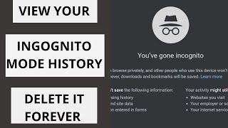 How To View Your Incognito Mode History & Delete It Forever in 40 Seconds | In Windows Using CMD