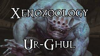 Xenozoology: Ur-Ghul - 40K Theories