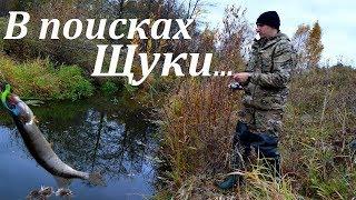 Ловим щуку на реке. Где искать щуку осенью. Джиг. Щука в октябре.