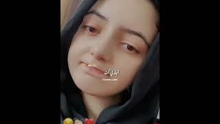 Pashto best song 2024 || pashto new song 2024 || pashto sad song