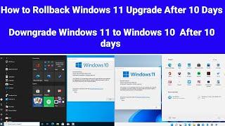 How to Rollback Windows 11 Upgrade After 10 Days | Downgrade Windows 11 to Windows 10 After 10 days