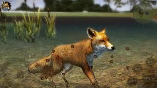 I am a fox! :D (a better animal) | Ultimate fox sim 2 | new game! | #1