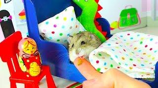 СПАЛЬНЯ ХОМЯКА дом РУМ ТУР - Хомяк и его игровой домик | Elli Di Pets