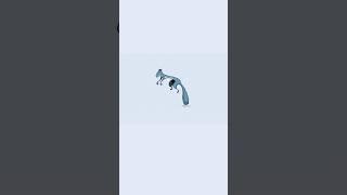 BEST TWO 2D ANIMATION APPS
