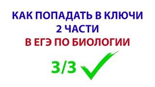 2 ЧАСТЬ ЕГЭ ПО БИОЛОГИИ. КАК НАУЧИТЬСЯ ПОПАДАТЬ В КЛЮЧИ?