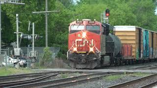 CN Train 368 Eastbound June 9, 2023