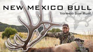 7X6 New Mexico Elk Hunt! Waddell's Vermejo Archery Bull