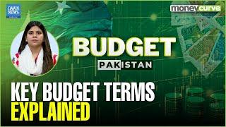 Key Budget Terms Explained | Economy 101 | Dawn News English