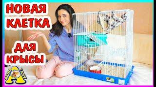 ПОДАРКИ  к Новому Году /  НОВАЯ КЛЕТКА для крысы / распаковка ЗООПОКУПКИ / Alisa Easy Pets