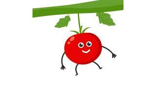 Tomato SVG Animation | Lottie Animation | Lottie Files JSON | Free Lottie Animations | LottieFiles