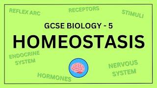 AQA GCSE Biology in 10 Minutes! | Topic 5 - Homeostasis and Response