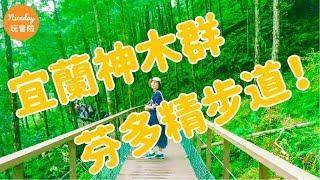 宜蘭棲蘭神木群一日遊，感受雲霧繚繞 | Niceday 玩冒險