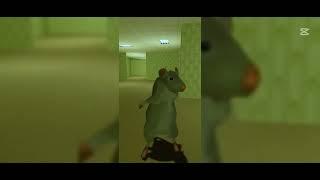 1 Hour Dancing Rat Meme (Jesus Mus1c - Chess Type Beat) TikTok