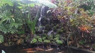 Tropical Botanical Gardens in Florida Called Sunken Gardens, St Petersburg, FL
