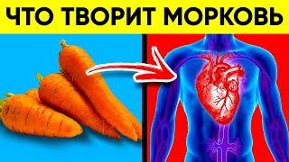 ВОТ ЧТО ТВОРИТ МОРКОВЬ! (Реальная Польза и Вред Моркови)