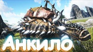 ARK приручил анкилозавра и бобра ! #12