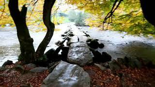 TARR STEPS EXMOOR