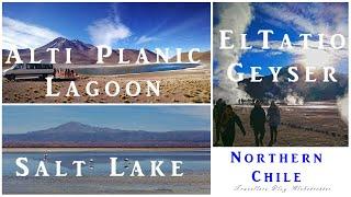  Explore the Alti Planic Lagoon | El Tatio Geyser | Salt lake |  #@meinwanderlust