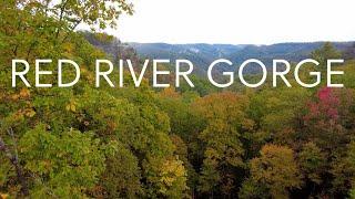 7 Things To Experience In the Red River Gorge