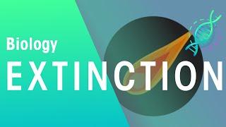 Extinction of Species | Evolution | Biology | FuseSchool