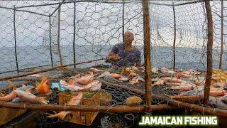 FISHING FOR FOOD IN JAMAICA WITH REAL FISHERMEN [CATCH & COOK]