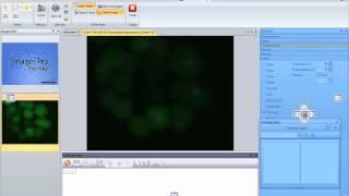 Measure & Track Intensity Over Time Video Tutorial - Image-Pro Premier