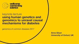Using human genetics and genomics to unravel causal mechanisms for diabetes