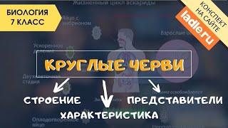 Тип Круглые черви. Паразиты. Биология 7 класс. Нематоды, строение Человеческая аскарида, острица ЕГЭ