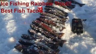 Ice Fishing Rainbow Trout,  Cooking the Best Fish Taco's!!