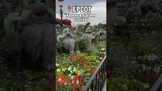 CATCH THIS Before It ENDS! #epcot #topiary #disney #disneyworld #shorts #disneyparks #garden