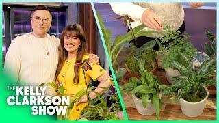 NYC Plant Doctor Teaches Kelly Clarkson How To Keep House Plants Alive