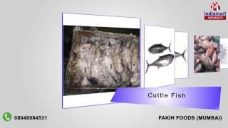 Fresh and Frozen Sea Foods By Fakih Foods, Mumbai