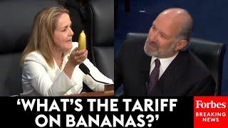 'We Cannot Build Bananas In America': Madeleine Dean Grills Sec. Howard Lutnick On Trump's Tariffs