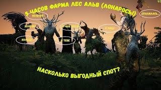 5 часов фарма в Лесу Альв (Лонаросы). Выгодно? (серебро и опыт) Black desert online