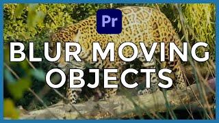 How to Blur a Moving Object in Adobe Premiere Pro in 2023 (Faces, License Plates or other objects)