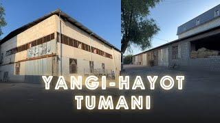 Yangihayot tumani biznes uchun 50 sotok joy, 33-100-77-77