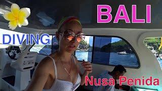 Бали / Дайвинг у Острова Нуса Пенида / Nusa Penida Diving / Bali