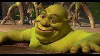 Absolutely normal video with Shrek