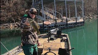 GRAND LAKE LIMIT FISH | ELK RIVER