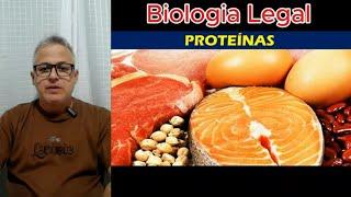 AS PROTEÍNAS: Descubra os Tipos, Classificação e Composição das proteínas